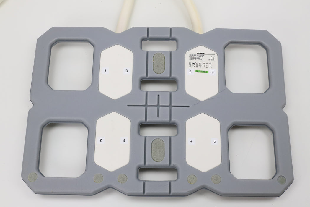 6 Channel Body Anterior, 6 Channel Body Posterior - m.e.d. GmbH Schulz